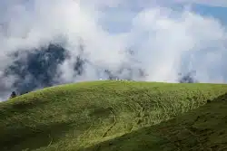 décor de montagne
