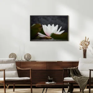 Nénuphar