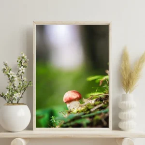 Petit champignon